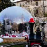 vitribulle festilight