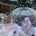 AIRSYSTEMS - Fabricant de structures gonflables : SPHÈRES ET BULLES GONFLABLES : Vitribulle cristal gonflable - Les Grand Prés Mons