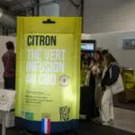 Sachets de thé gonflables