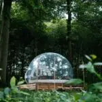 Sphères et bulles gonflables transparentes - Bulles gonflables géantes Insol-eat