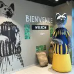 Chat gonflable Caou : mascotte gonflable