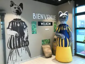Mascotte gonflable événementiel chat gonflable mascotte gonflable airsystems airstyle super u merville 1 Chat gonflable Caou : mascotte gonflable