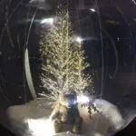 Vitribulles gonflables