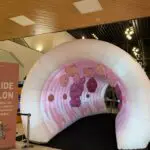 colon gonflable université du Luxembourg