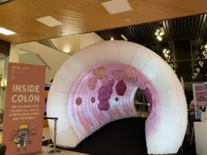 colon gonflable université du Luxembourg
