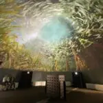 Stand gonflable Expo Océan