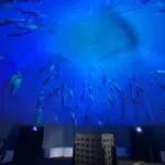 Stand gonflable Expo Océan