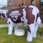 Mascotte gonflable vache