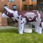 Mascotte gonflable vache