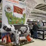 Mascotte gonflable vache