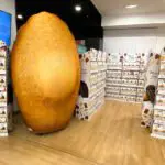 Madeleine gonflable Maison Colibri