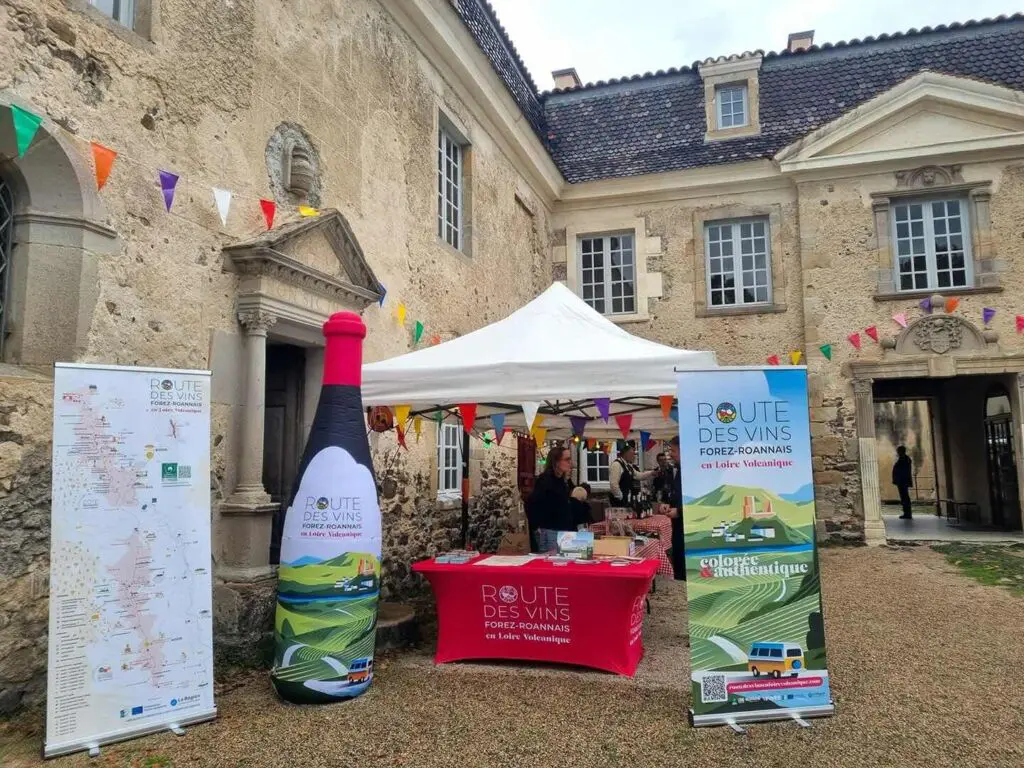 bouteille de vin gonflable roanne