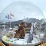 vitribulles gonflables savines-le-lac