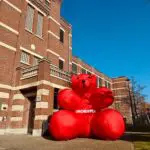 ours gonflable orchestra