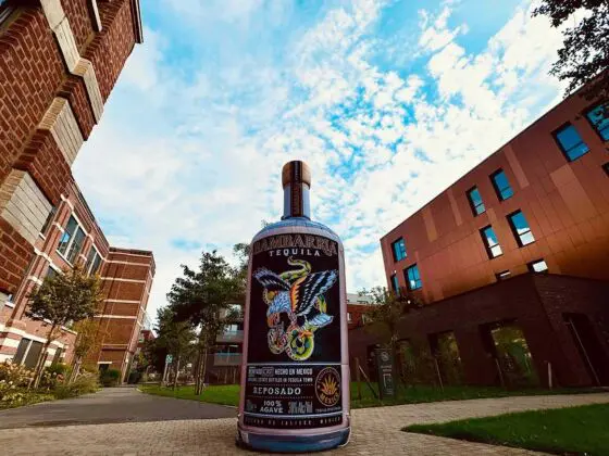 bouteille gonflable tequila