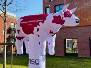 vache gonflable msg 3