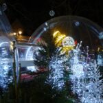 bulles ville de bloyes
