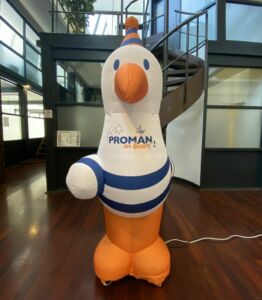 mascotte gonflable mouette proman