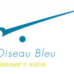 oiseau bleu 421x237