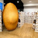 Madeleine gonflable Maison Colibri
