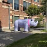 airsystems france rhinoceros gonflable rowenta